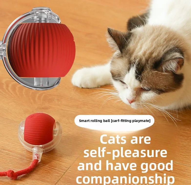 A cat toy shown on a wooden floor next to a real cat, with inset views of the red rolling ball playmate in clear housing and overlaid text describing it as a smart rolling ball.