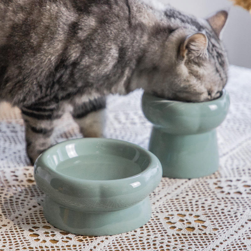 Morandi Elevated Ceramic Cat Bowl – Cervical Support Raised Feeder for Cats