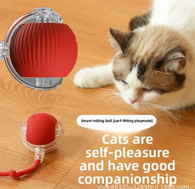 Smart Interactive Rolling Cat Ball – Auto-Moving Toy with Teaser Wand & LED Light